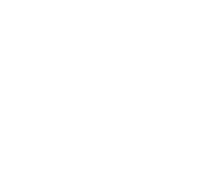 MS Logo Icon